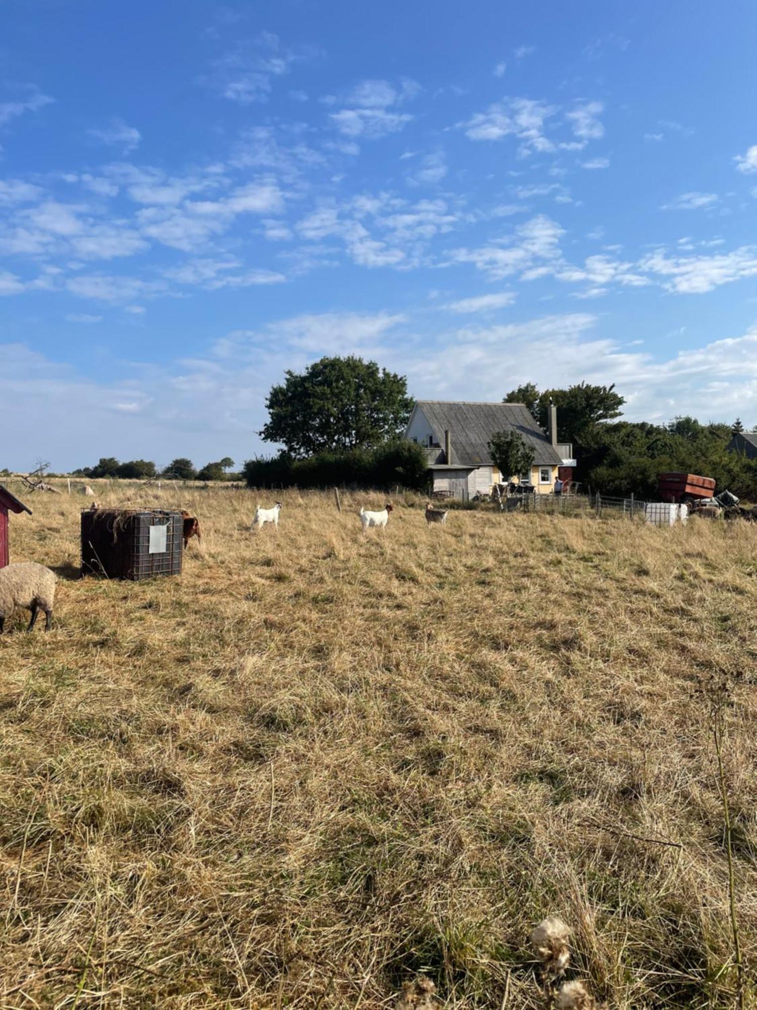 Oestermark Ærøskøbing Bagian luar foto
